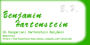 benjamin hartenstein business card